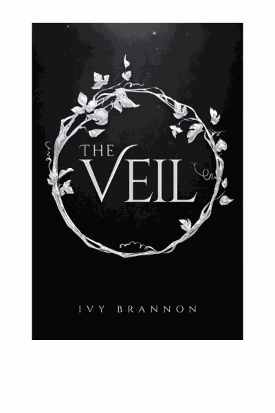 The Veil Cover Image