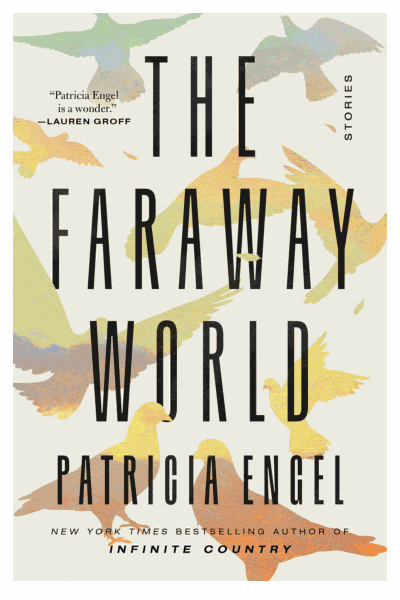 The Faraway World Cover Image