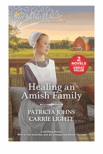 Healing an Amish Family Cover Image
