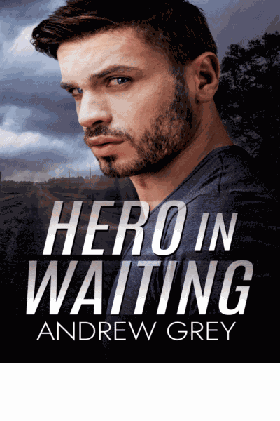 Hero in Waiting Cover Image