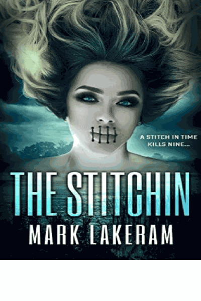 The Stitchin Cover Image