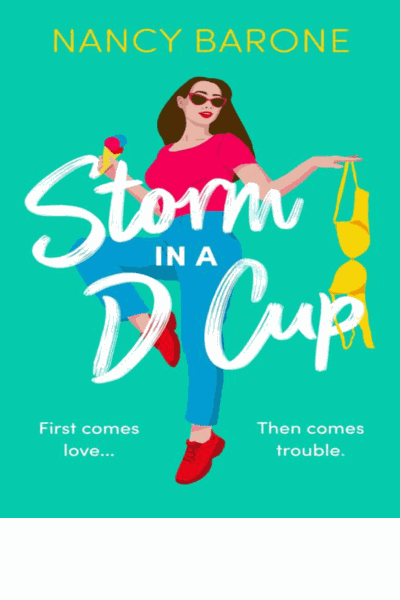 Storm in a D Cup (The Husband Trilogy) Cover Image