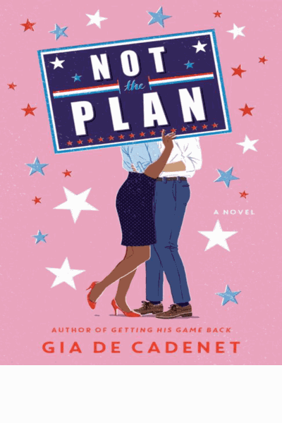 Not the Plan Cover Image