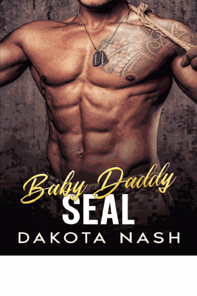 Baby Daddy SEAL Cover Image