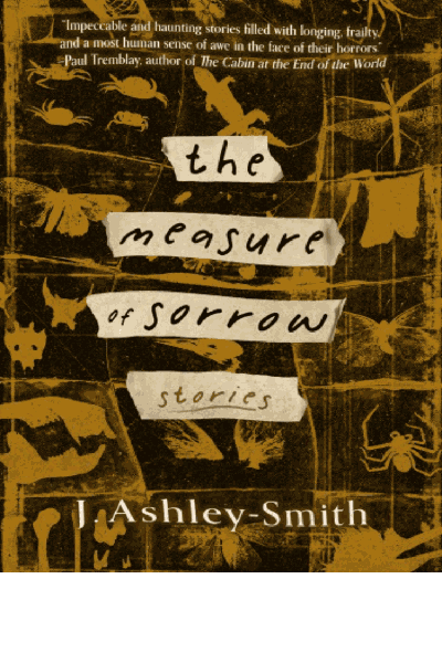 The Measure of Sorrow Cover Image