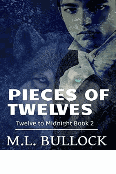 Pieces of Twelves Cover Image