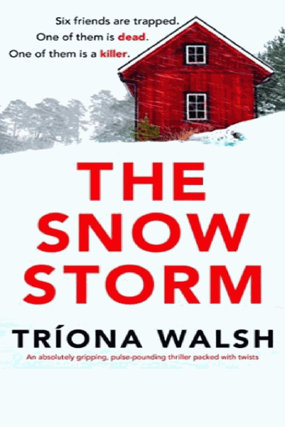 The Snowstorm Cover Image