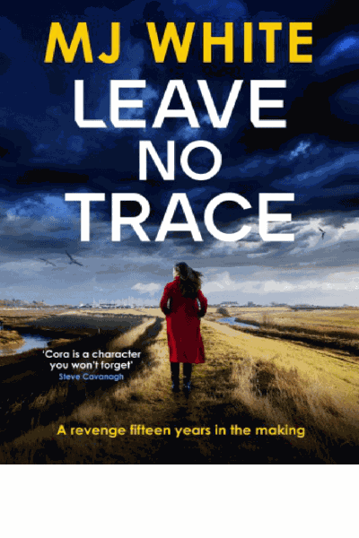 Leave No Trace Cover Image