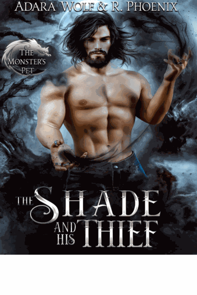 The Shade and His Thief Cover Image