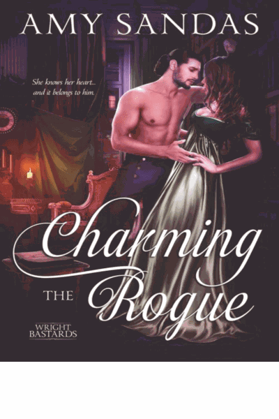 Charming the Rogue Cover Image