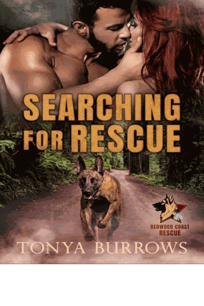 Searching for Rescue Cover Image