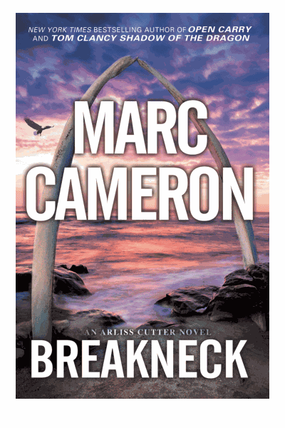 Breakneck Cover Image