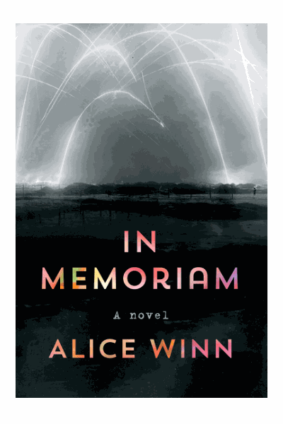 In Memoriam : A novel Cover Image