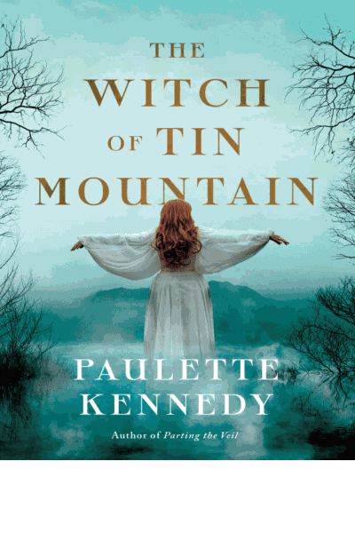 The Witch of Tin Mountain Cover Image