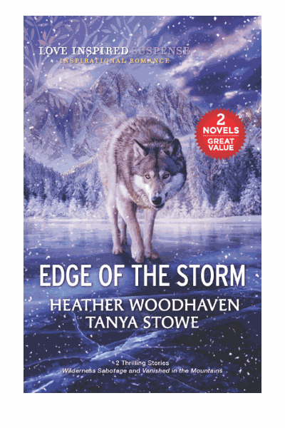 Edge of the Storm Cover Image