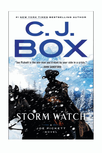 Storm Watch Cover Image