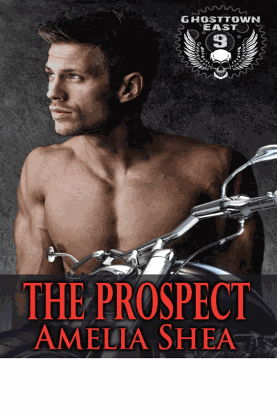 The Prospect Cover Image