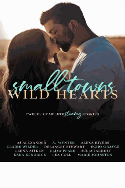 Small Towns, Wild Hearts: Twelve Complete Stories Cover Image