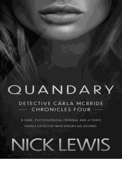 Quandary: A Detective Series Cover Image