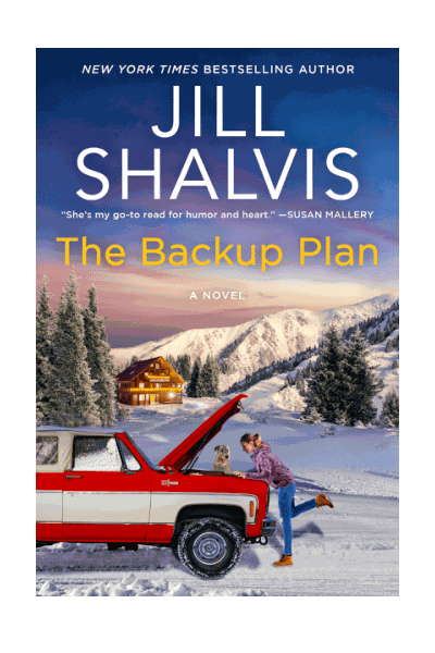 The Backup Plan Cover Image