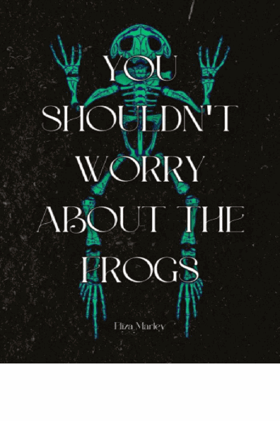 You Shouldn't Worry About Frogs Cover Image