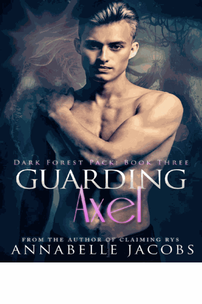 Guarding Axel Cover Image