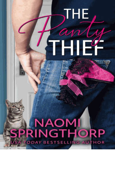 The Panty Thief Cover Image