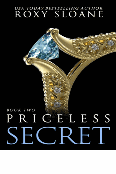 Priceless Secret Cover Image