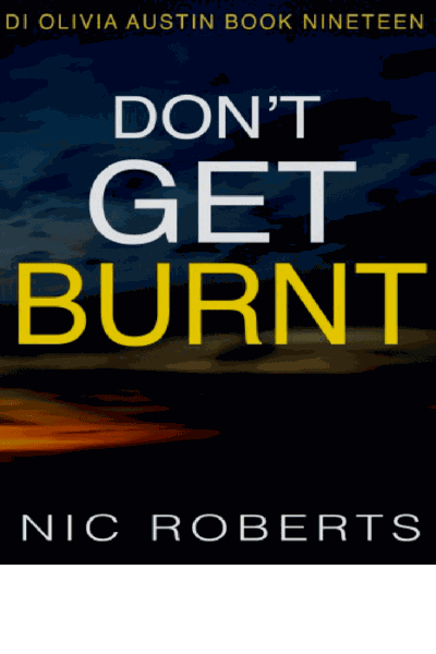 Don’t Get Burnt Cover Image