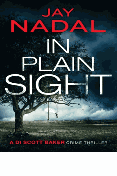 In Plain Sight Cover Image