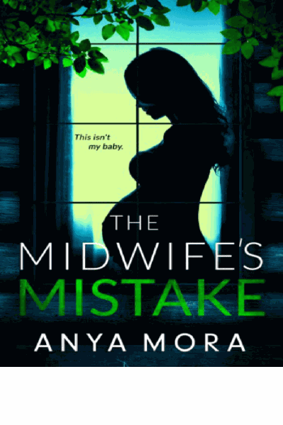 The Midwife’s Mistake Cover Image