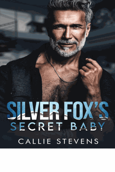 Silver Fox's Secret Baby Cover Image