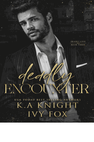 Deadly Encounter (Deadly Love Book 3) Cover Image