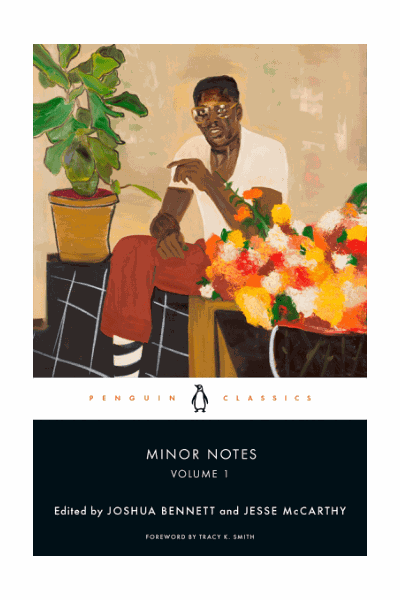 Minor Notes, Volume 1 Cover Image
