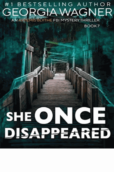 She Once Disappeared Cover Image