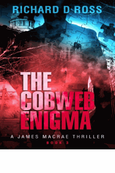 The Cobweb Enigma Cover Image