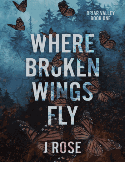 Where Broken Wings Fly Cover Image
