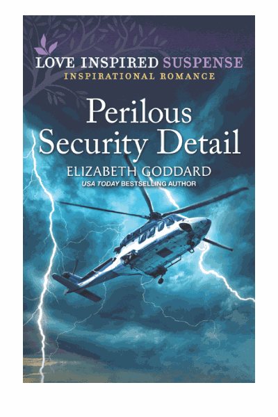 Perilous Security Detail Cover Image
