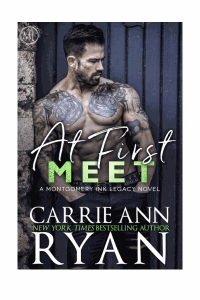 At First Meet Cover Image