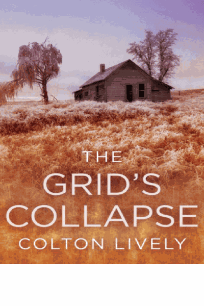 The Grid's Collapse Cover Image