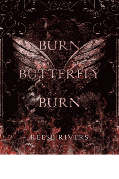 Burn Butterfly Burn Cover Image
