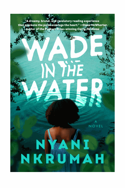 Wade in the Water Cover Image