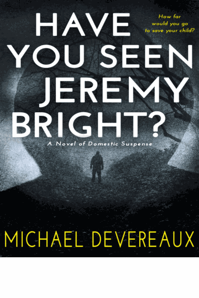 Have You Seen Jeremy Bright?: A Novel of Domestic Suspense Cover Image