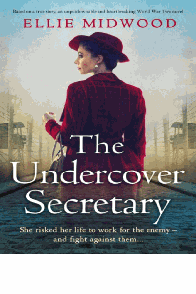 The Undercover Secretary Cover Image