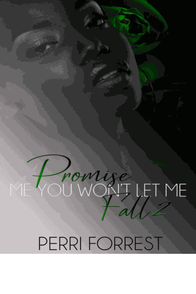 Promise Me You Won't Let Me Fall 2 Cover Image
