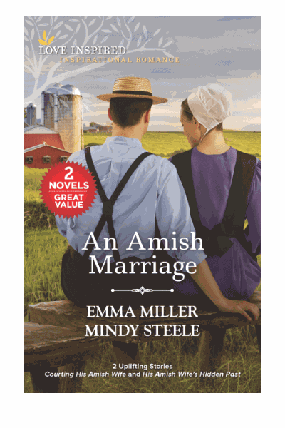 An Amish Marriage Cover Image