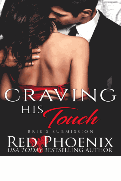 Craving His Touch Cover Image