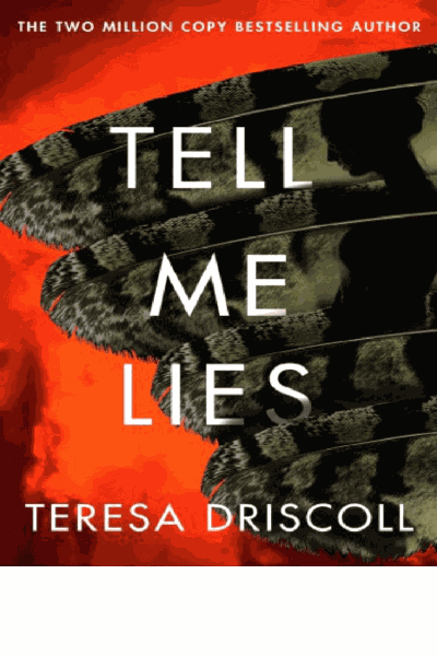 Tell Me Lies Cover Image