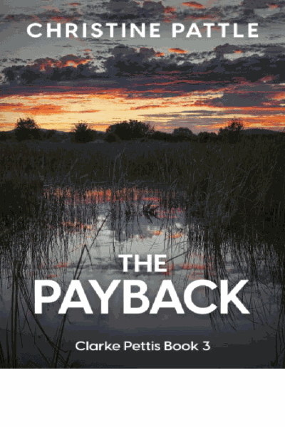 The Payback Cover Image