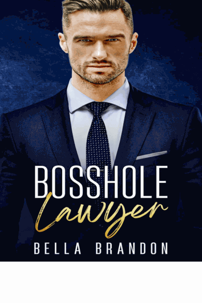 Bosshole Lawyer Cover Image